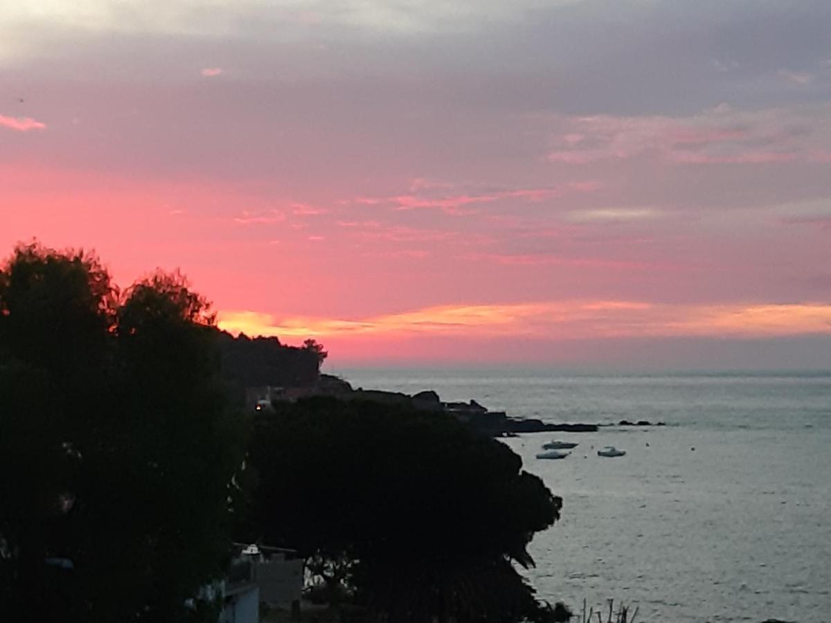B&B Sea Terrace Aci Castello Eksteriør billede